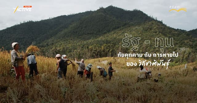 รัฐ – ทุน…ภัยคุกคาม กับ การหายไปของ ‘วิถีชาติพันธุ์’