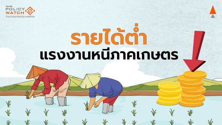 เกษตรกรไทยติดกับดักรายได้ต่ำ ไร้เสน่ห์ดึงดูดแรงงานรุ่นใหม่