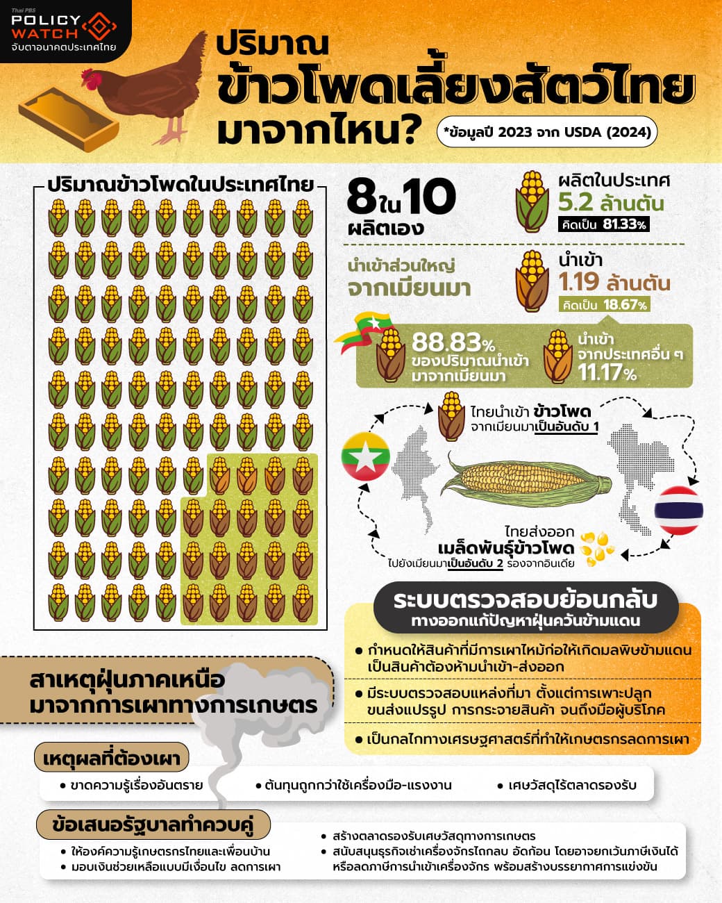 ปริมาณข้าวโพดเลี้ยงสัตว์ไทยมาจากไหน
