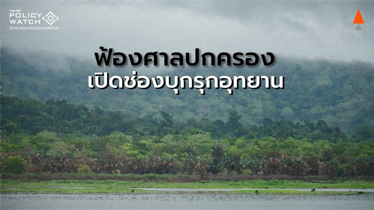 ฟ้องศาลปกครอง&#8221;คุ้มครอง&#8221; ช่องทางทุนบุกรุกพื้นที่ป่า