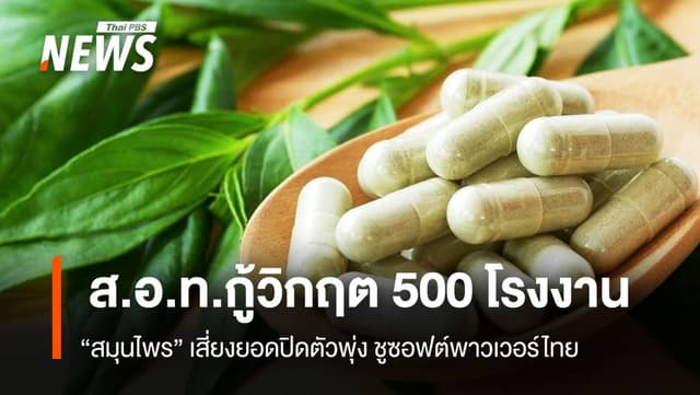 ส.อ.ท.กู้วิกฤต 500 โรงงาน “สมุนไพร” เสี่ยงยอดปิดพุ่ง เศรษฐกิจ 19 ส.ค. 67 14:39 161