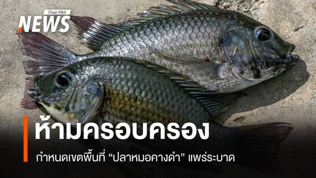 ราชกิจจาฯ ประกาศห้ามครอบครอง &#8220;ปลาหมอคางดำ&#8221; กำหนดพื้นที่ระบาด