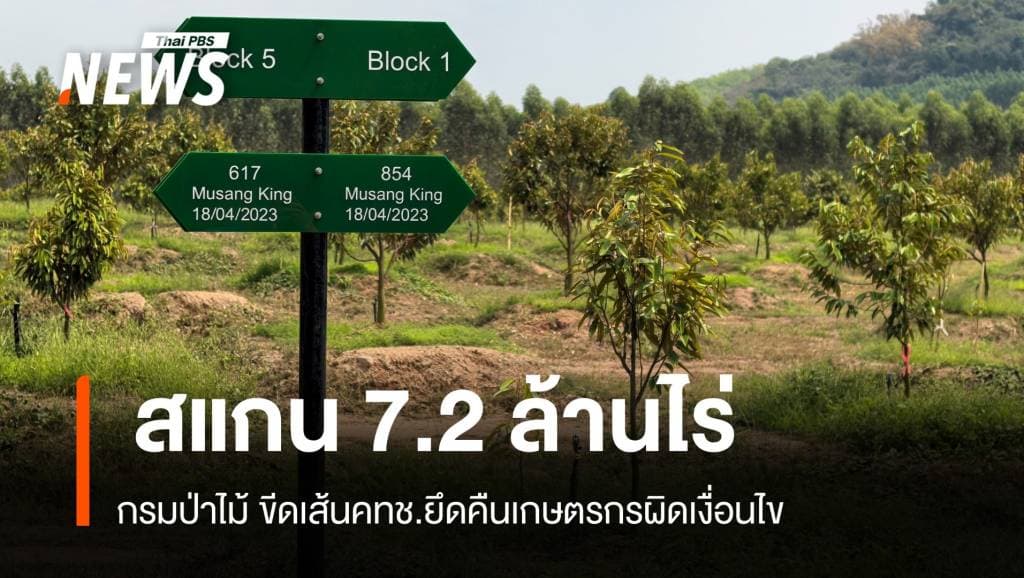 &#8220;เฉลิมชัย&#8221; สั่งสอบที่ดินคทช. 7.2 ล้านไร่ปมทุนจีนปลูกทุเรียน