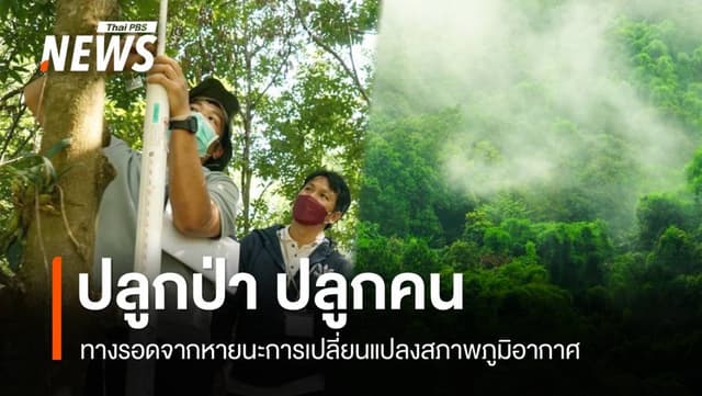 ไทยเดินหน้าขยายป่าชุมชน บรรลุเป้าหมาย &#8220;ข้อตกลงปารีส&#8221; ลดโลกร้อน