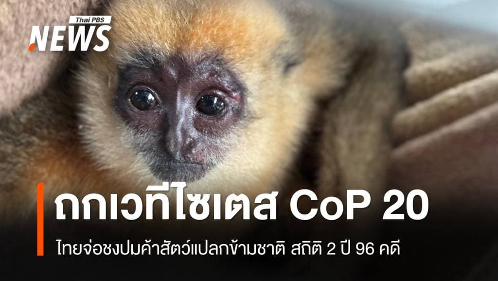 ไทยจ่อชงปมค้าสัตว์แปลกข้ามชาติ ถกเวที “ไซเตส” CoP 20 พ.ย.นี้