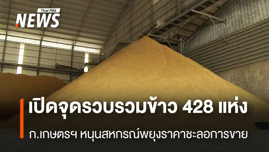 เปิดจุดรวบรวมข้าว 428 แห่ง ก.เกษตรฯหนุนสหกรณ์พยุงราคาชะลอการขาย