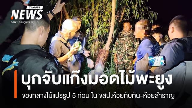 บุกจับแก๊งมอดไม้พะยูง ขสป.ห้วยทับทัน​-ห้วยสำราญ