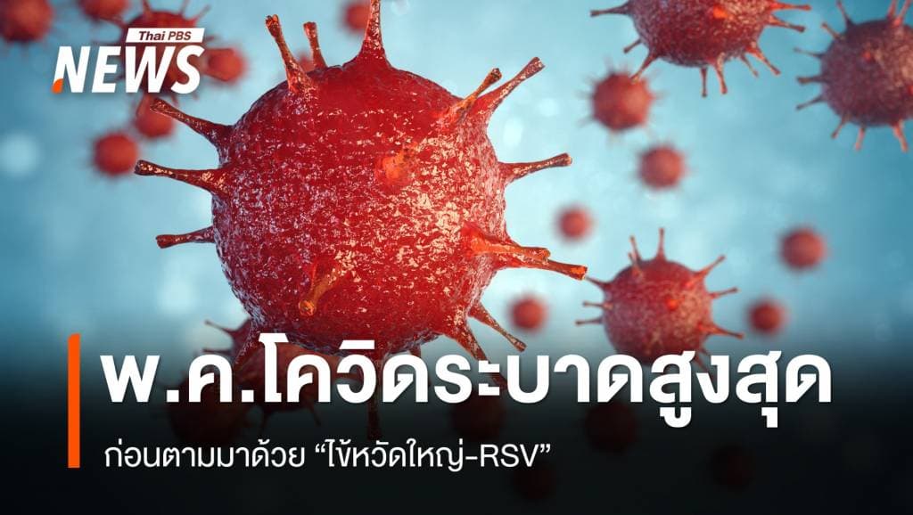 &#8220;หมอยง&#8221; เผย พ.ค.โควิด-19 ระบาดสูงสุด ก่อนตามมาด้วยไข้หวัดใหญ่-RSV