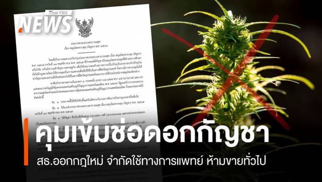 สิ้นสุดกัญชาเสรี! ประกาศใหม่ คุมช่อดอก ห้ามโฆษณา-ขายทั่วไป