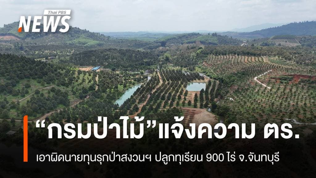 &#8220;กรมป่าไม้&#8221; แจ้งความ ตร.เอาผิดนายทุนรุกป่า ปลูกทุเรียนกว่า 900 ไร่