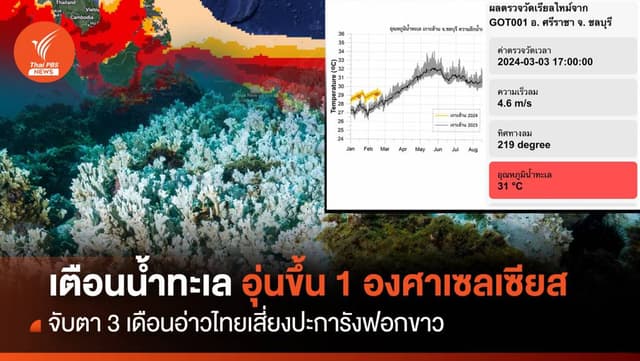 ทะเลอ่าวไทยอุ่นขึ้น 1 องศาฯ จับตา 3 เดือนเสี่ยงปะการังฟอกขาว