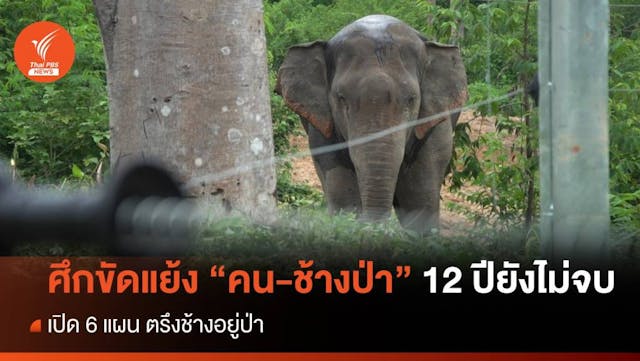 ศึกขัดแย้ง “คน-ช้างป่า” 12 ปียังไม่จบ ระยะทางอีกยาวไกล