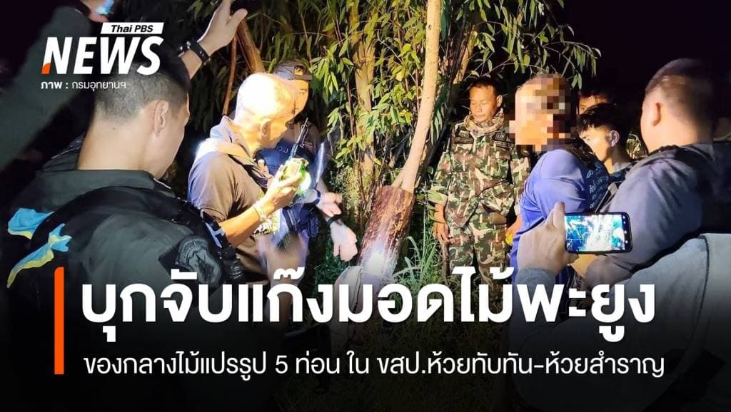 บุกจับแก๊งมอดไม้พะยูง ขสป.ห้วยทับทัน-ห้วยสำราญ